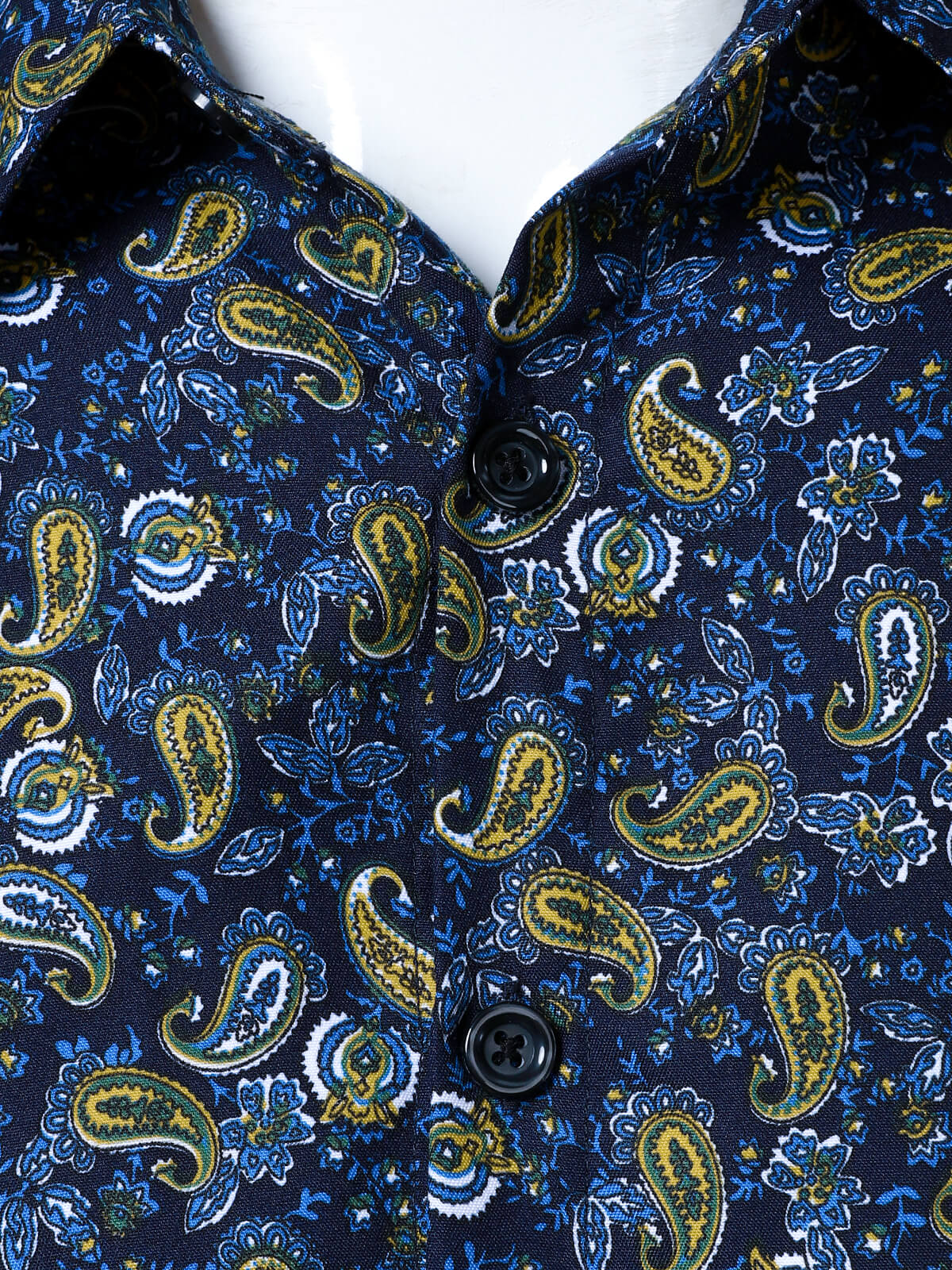 Men's Paisley Button Up Long Sleeve Shirt
