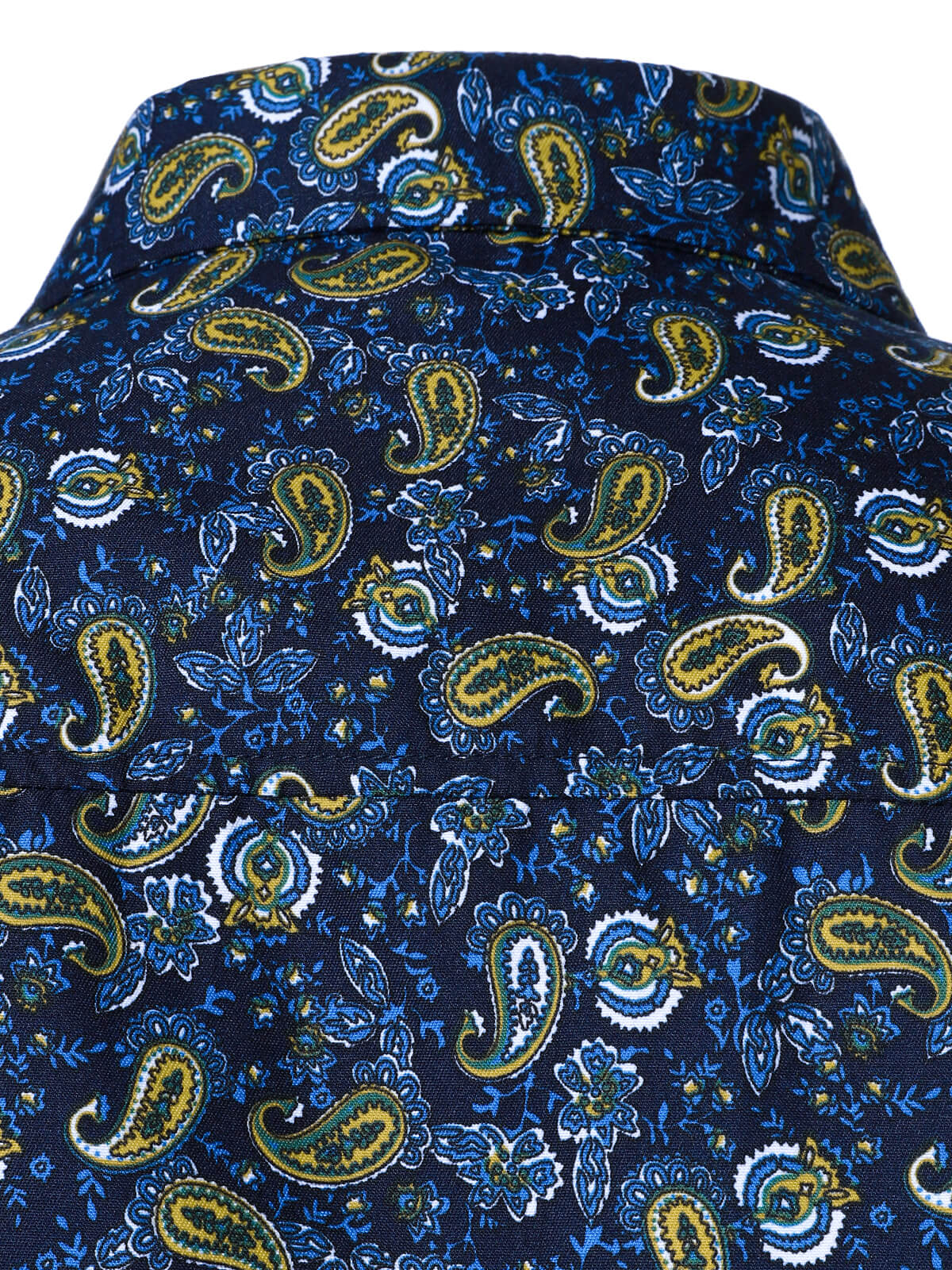 Men's Paisley Button Up Long Sleeve Shirt