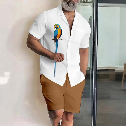 Men's Hawaii Vacation Printed Lapel Collar Short-Sleeved Two-Piece Set
