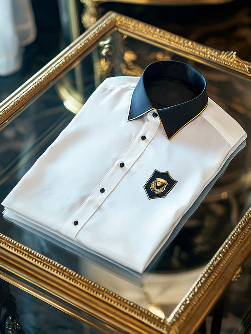 Men's Satin Luxury Business Long Sleeve Shirt