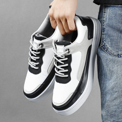 Houlton Sneakers