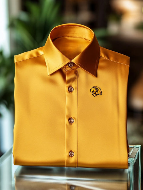 Men's Satin Luxe Long Sleeve Button Down Shirt