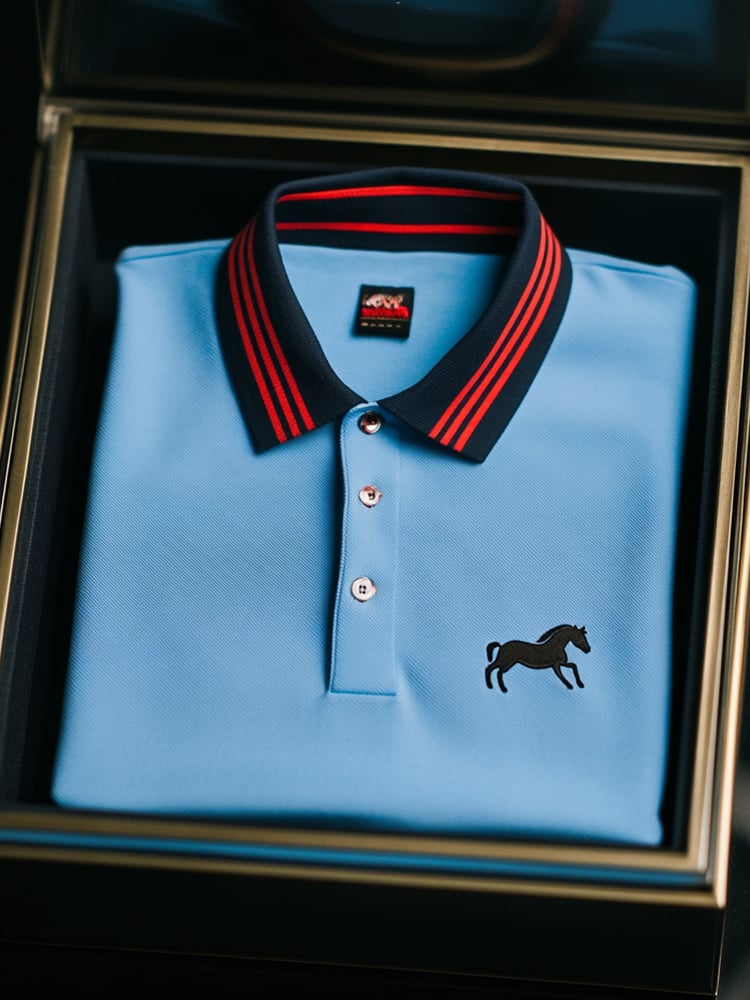 Men's Business Red Striped Horse Logo Print Short Sleeve Polo Shirt